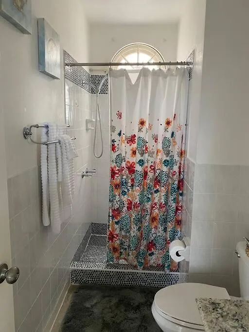 Apartment Coastal Beauty - Beautiful Penthouse Condo In Ocho Rios